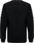 Preview: SV Veitshöchheim Authentic Sweatshirt Unisex